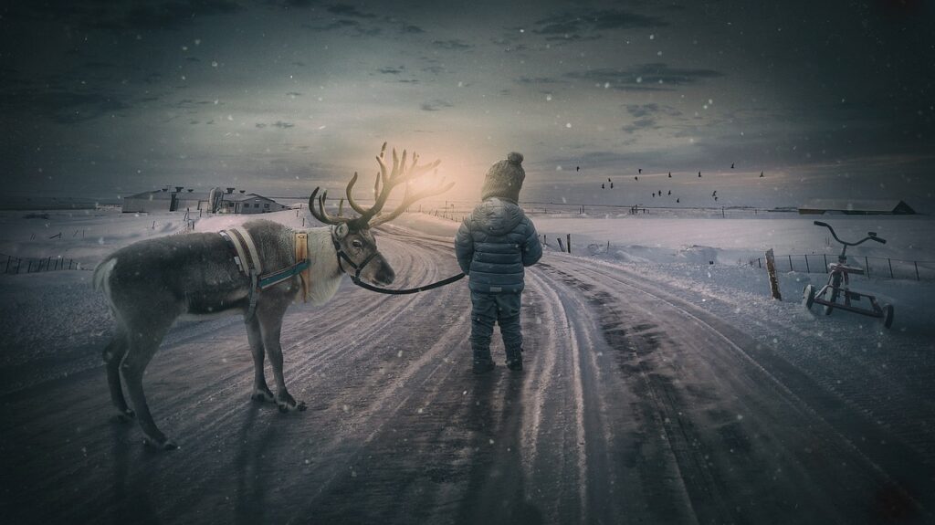 winter landscape, reindeer, boy, fairytale, small child, nature, landscape, moose, snow, evening atmosphere, sunset, composing, child, fantasy, dream, dreams