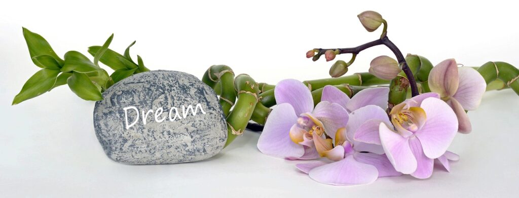 orchid, orchid flower, bamboo, lucky bamboo, dreams, relaxation, recreation, balance, relax, wellness, health, green, violet, nature, plant, happiness, asian, asia, branch, stone, fresh, botanical, stalk, fengshui, wood, header, banner, head picture, orchid, orchid, orchid, bamboo, bamboo, bamboo, bamboo, bamboo, wellness, health, health, banner